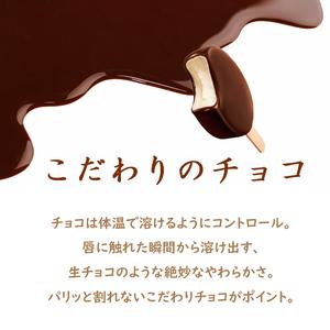ふるさと納税 16. PARM チョコレート (ノベルティ) 個包装 48本 アイス アイスクリーム アイスバー パルム 森永乳業 静岡 裾野市 静岡県裾野市の画像