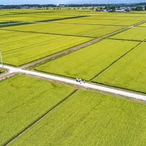 ふるさと納税 【定期便 2ヶ月】食べチョク金賞受賞 白米 精米 あきた栗山 大谷米 あきたこまち 9kg 2回 計18kg オータニファーム 令和7年産 秋田.. 秋田県能代市