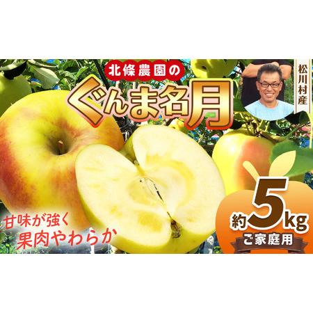 ふるさと納税 家庭用 ぐんま名月 約5kg [2026年先行予約] | 北條農園 長野県松川村