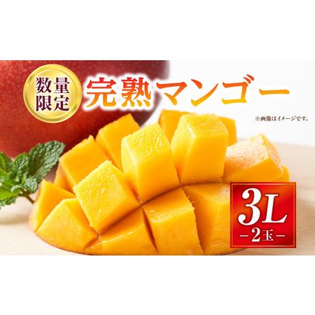 ふるさと納税 [2026年発送先行予約][数量・期間限定]完熟マンゴー 3Lサイズ 2玉 完熟 マンゴー 太陽のタマゴ 果物 フルーツ くだもの 果肉 .. 宮崎県宮崎市