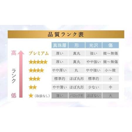 ふるさと納税 【7営業日以内発送】《アコヤ真珠》7.5-8.0mm フォーマルパールネックレスとピアスセット【★★★★☆】あこや あこや真珠 宝石 お.. 長崎県長崎市の画像