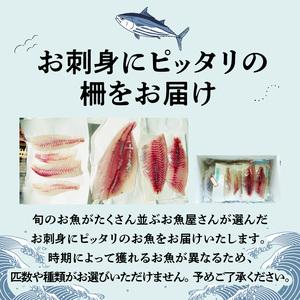 ふるさと納税 S121-T01_【全6回 連続】お刺身用柵定期便 熊本県天草市の画像