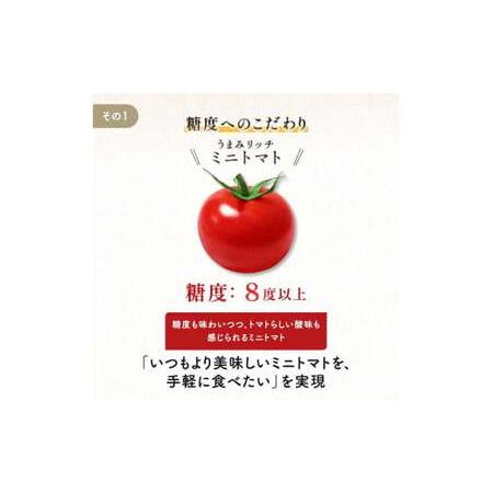 ふるさと納税 ＜特別栽培農産物＞ファームサイドのこだわりミニトマト 800g 野菜 特別栽培 農産物 サラダ ピクルス 炒め物 食品 本庄産 関東 F5K.. 埼玉県本庄市_1