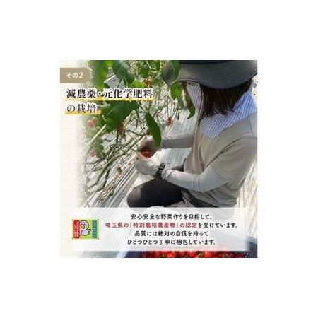 ふるさと納税 ＜特別栽培農産物＞ファームサイドのこだわりミニトマト 800g 野菜 特別栽培 農産物 サラダ ピクルス 炒め物 食品 本庄産 関東 F5K.. 埼玉県本庄市_2