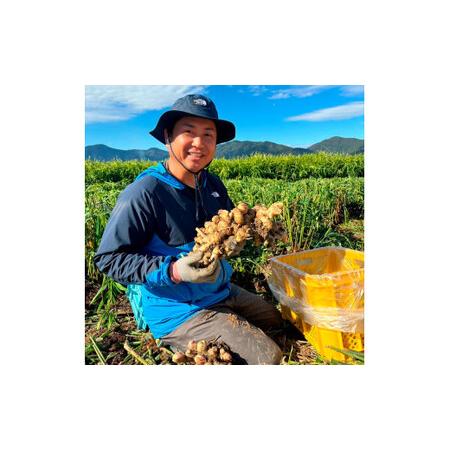 ふるさと納税 健康長寿の秘訣 大地の土付き生姜3kg 国産 生ショウガ しょうが ショウガ ジンジャー ジンジャーエール ショウガシロップ 生姜焼き.. 高知県土佐市_1