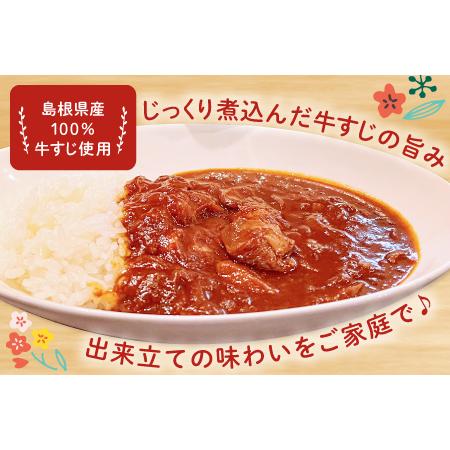 ふるさと納税 牛すじトロトロハヤシ 2個セット【ハヤシライス 2個 1食 200g レトルト食品 レトルトハヤシ レトルト 長期保存 すじ肉 牛肉 詰め合.. 島根県大田市_1