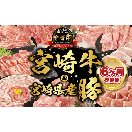 ふるさと納税 [6ヶ月定期便]宮崎牛と宮崎県産豚 N0147-YF098 宮崎県延岡市