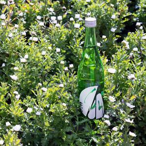 ふるさと納税 【定期便4回】はつもみぢ季節酒 1本(720ml)×4回 山口県周南市の画像
