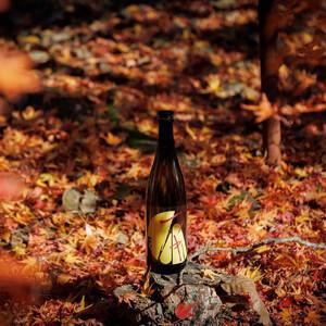 ふるさと納税 【定期便4回】はつもみぢ季節酒 1本(720ml)×4回 山口県周南市の画像