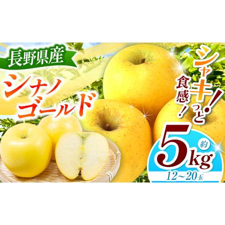 ふるさと納税 シナノゴールド 約5kg [2026年先行予約] | 浅野農園 長野県松川村