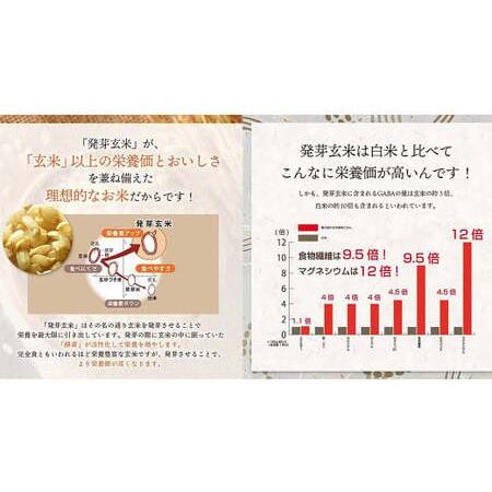 ふるさと納税 【常温】3日寝かせ発芽酵素 玄米ごはん 60食 セット （125g×60食） 玄米 ごはん 大分県九重町の画像