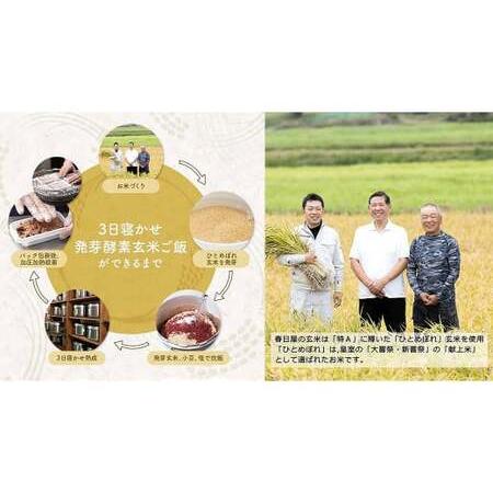 ふるさと納税 【常温】3日寝かせ発芽酵素 玄米ごはん 60食 セット （125g×60食） 玄米 ごはん 大分県九重町の画像