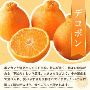ふるさと納税 【フルーツ定期便 3回】 《ピオーネからスタート》 Bセット ピオーネ 約1.2kg さぬきゴールド 約2.7kg デコポン 約5kg ぶどう キウ.. 香川県琴平町_3
