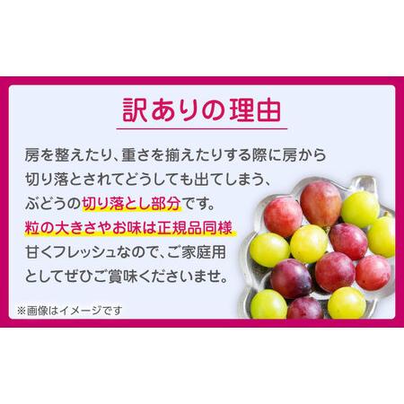 ふるさと納税 【先行予約】【3回定期便】 訳あり 毎月1種類ずつお届け！ 紅白ぶどう2種 食べ比べ 切り落とし 約700g  【合同会社 社方園】[ZBZ05.. 熊本県山鹿市の画像