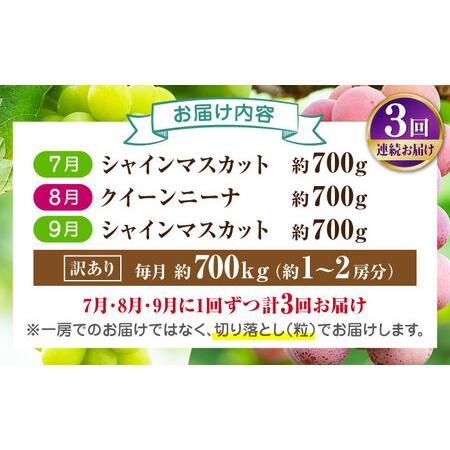 ふるさと納税 【先行予約】【3回定期便】 訳あり 毎月1種類ずつお届け！ 紅白ぶどう2種 食べ比べ 切り落とし 約700g  【合同会社 社方園】[ZBZ05.. 熊本県山鹿市の画像