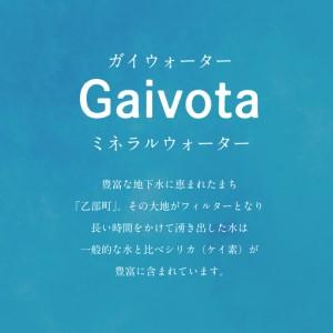 ふるさと納税 ＜Gaivota 瓶1箱(720ml×12本)＞北のハイグレード食品 天然シリカ水  ミネラルウォーター  軟水 ボトルタイプ 瓶 北海道産 北.. 北海道乙部町の画像