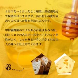 ふるさと納税 百花蜂蜜 約500g×2本 nkmryoho005A【nkmryoho005A】 和歌山県みなべ町の画像