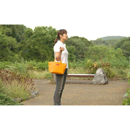 ふるさと納税 舟形トート（中）こい緑 トートバッグ かばん トート バッグ 国産 帆布 F6L-892 山口県山陽小野田市の画像