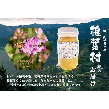 ふるさと納税 【無添加 非加熱】標高800m たっちゃんのこだわり蜂蜜【170g×3本】(送料無料 宮崎県 椎葉村 秘境 蜂蜜 はちみつ ハチミツ み.. 宮崎県椎葉村の画像