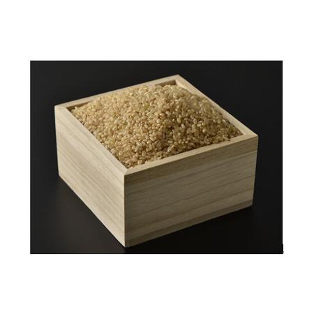 ふるさと納税 A116 【定期便】阿武川源流米コシヒカリ玄米60kg(10kg×6回) 山口県山口市_1