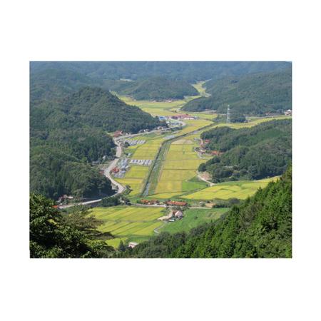 ふるさと納税 A116 【定期便】阿武川源流米コシヒカリ玄米60kg(10kg×6回) 山口県山口市_2