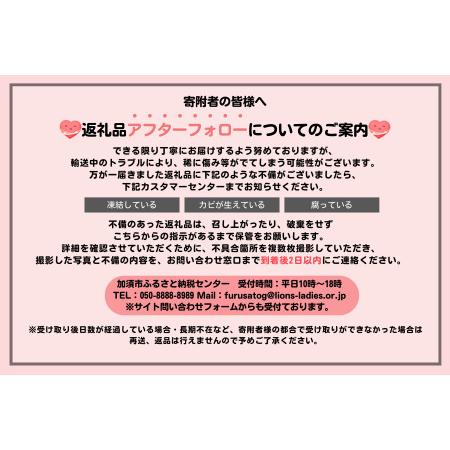 ふるさと納税 【先行予約】いちご あまりん 加須市産 250g入り&times;2パック 苺　あまりん 埼玉県加須市