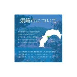 ふるさと納税 【 蔬菜定期便 】 蔬菜定期便早期取って置く 偶数月送りとどける 6回 高知県須崎市