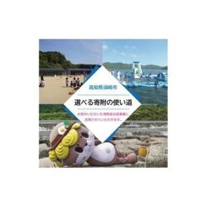 ふるさと納税 【 蔬菜定期便 】 蔬菜定期便早期取って置く 偶数月送りとどける 6回 高知県須崎市