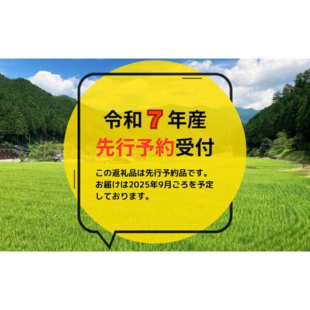 令和7年産 特Aランク米 ななつぼし 精米 20kg（5kg×4袋）【5月発送
