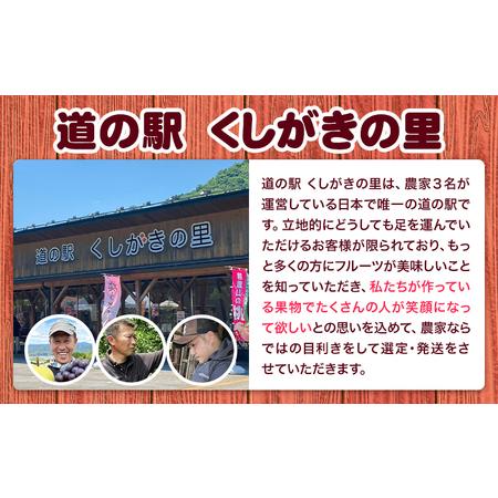ふるさと納税 桃 かつらぎ町産 約 1kg 紀農人株式会社《2026年6月上旬-8月中旬頃出荷》 和歌山県 日高川町 果物 フルーツ 桃 もも モモ 旬 和歌山県日高川町の画像