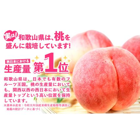 ふるさと納税 桃 かつらぎ町産 約 1kg 紀農人株式会社《2026年6月上旬-8月中旬頃出荷》 和歌山県 日高川町 果物 フルーツ 桃 もも モモ 旬 和歌山県日高川町の画像