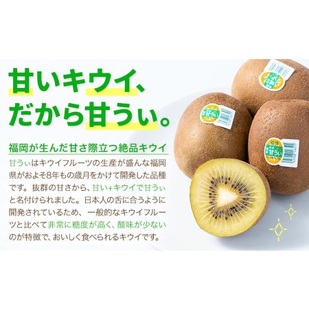 ふるさと納税 キウイ 甘うぃ 約3kg 南国フルーツ株式会社【26年度出荷】《10月下旬-11月末頃出荷》福岡県 小竹町 あまおう 福岡県産 キウイ フル.. 福岡県小竹町_1