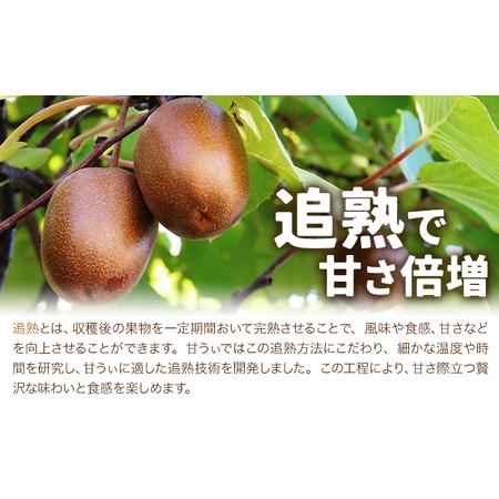 ふるさと納税 キウイ 甘うぃ 約3kg 南国フルーツ株式会社【26年度出荷】《10月下旬-11月末頃出荷》福岡県 小竹町 あまおう 福岡県産 キウイ フル.. 福岡県小竹町_2