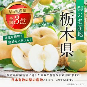 ふるさと納税 【2026年先行予約】幸水 梨 5kg【栃木県共通返礼品】P0 栃木県 下野市 栃木県下野市_2