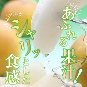 ふるさと納税 【2026年先行予約】幸水 梨 5kg【栃木県共通返礼品】P0 栃木県 下野市 栃木県下野市_3