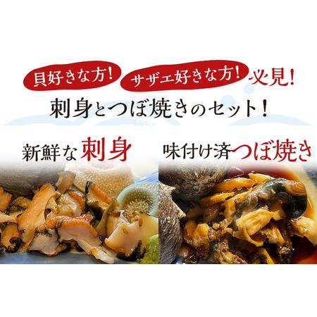 丸ごとサザエ さざえ 栄螺 貝 魚介 海鮮 刺身 つぼ焼き サザエ サザエの刺身２個 サザエのつぼ焼き２個 玄界灘 福岡 冷凍 お取り寄.. 【好評】 福岡県志免町