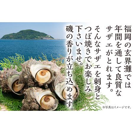 丸ごとサザエ さざえ 栄螺 貝 魚介 海鮮 刺身 つぼ焼き サザエ サザエの刺身２個 サザエのつぼ焼き２個 玄界灘 福岡 冷凍 お取り寄.. 【好評】 福岡県志免町