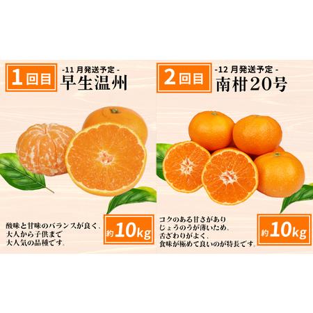 ふるさと納税 えひめの旬の柑橘 6回 みかん定期便 JA みかん定期便 B120-009012 愛媛県宇和島市_1