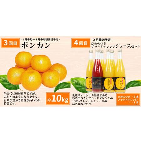 ふるさと納税 えひめの旬の柑橘 6回 みかん定期便 JA みかん定期便 B120-009012 愛媛県宇和島市_2