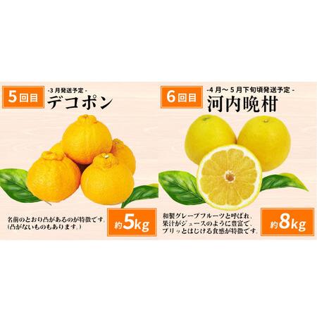 ふるさと納税 えひめの旬の柑橘 6回 みかん定期便 JA みかん定期便 B120-009012 愛媛県宇和島市_3