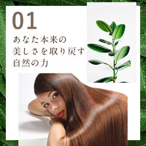 ふるさと納税 【ALLNA ORGANIC】オルナ オーガニック シャンプー 400ml 詰め替え 単品【BU05-elu003】 和歌山県かつらぎ町の画像