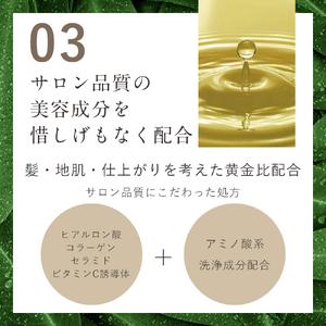 ふるさと納税 【ALLNA ORGANIC】オルナ オーガニック シャンプー 400ml 詰め替え 単品【BU05-elu003】 和歌山県かつらぎ町の画像