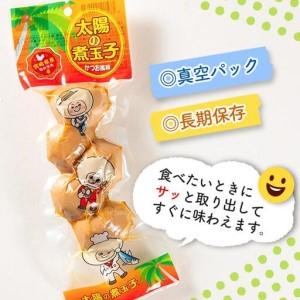 ふるさと納税 太陽の煮玉子 かつお風味 50玉 (5玉×10パック) 宮崎県