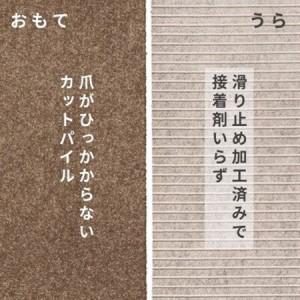 ふるさと納税 水が転がる程の撥水性!撥水ペットマット「UKU」20枚セット ブラウン【複数個口で配送】【4064408】 大阪府和泉市の画像