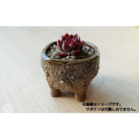 ふるさと納税 眞名焼 サボテン鉢 小＋大サイズ　｜鳥取 岩美 鉢 丸型 角型【71015】 鳥取県岩美町_2