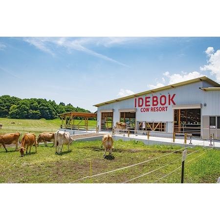 ふるさと納税 0019-06-02 いでぼく COW RESORT IDEBOK キャンプサイト予約券 【キャンピングカー専用】 静岡県富士宮市_3