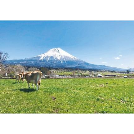 ふるさと納税 0019-06-02 いでぼく COW RESORT IDEBOK キャンプサイト予約券 【キャンピングカー専用】 静岡県富士宮市_4