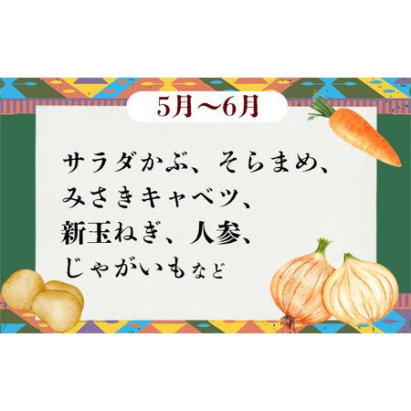 ふるさと納税 野菜 無農薬 農園自慢の情熱野菜セット 7品 【 6ヶ月 連続 お届け 】 茨城県下妻市_1