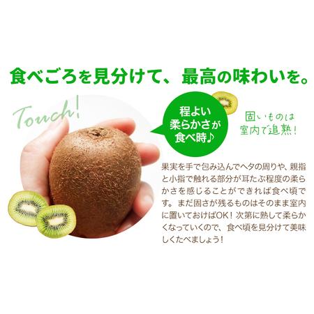 ふるさと納税 キウイ 甘うぃ 約1.5kg 南国フルーツ株式会社【26年度出荷】《10月下旬-11月末頃出荷》福岡県 鞍手町 福岡県産 キウイ フルーツ キ.. 福岡県鞍手町_3