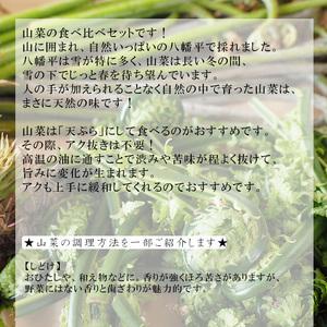 ふるさと納税 【5月上旬より発送開始予定】 期間限定 天然山菜 食べ比べセット 約300g ／ 山菜 春の山菜 春 さんさい 旬 春の味覚 食べ比べ 味.. 岩手県八幡平市の画像